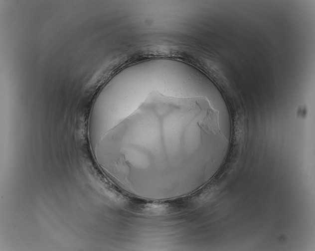 X0000111240457200907161346