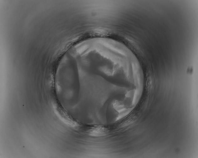 X0000111240459200907161346