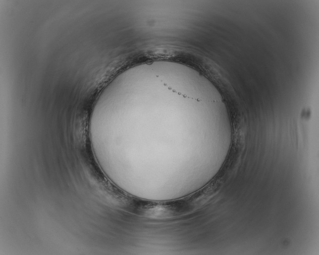 X0000111240460200907161346