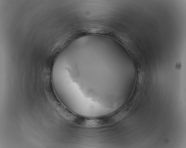 X0000111240461200907161346