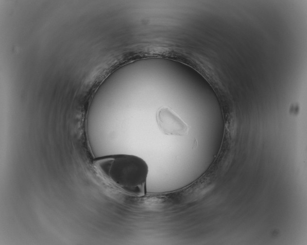 X0000111240462200907161346