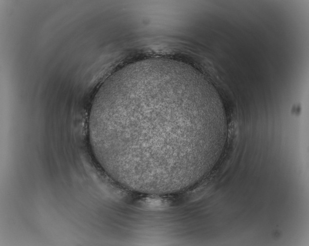 X0000111240464200907161346