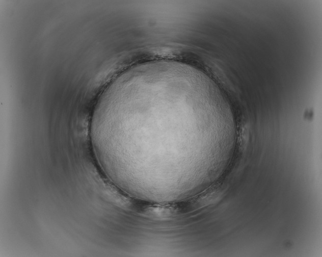 X0000111240466200907161346