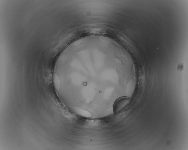 X0000111240469200907161346