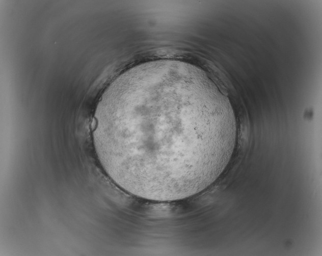 X0000111240473200907161346