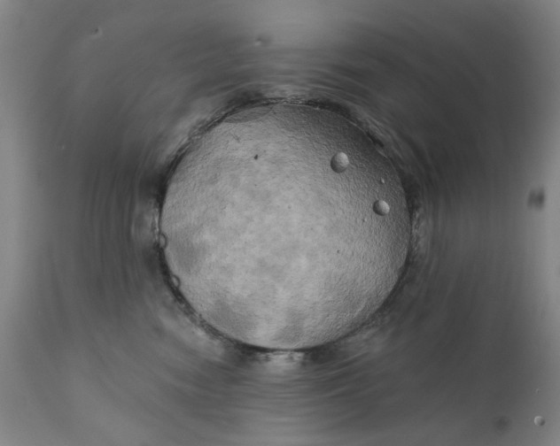 X0000111240474200907161346