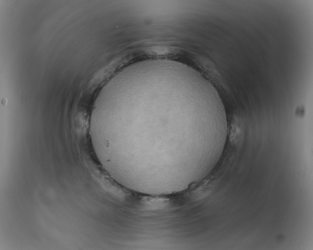 X0000111240476200907161346