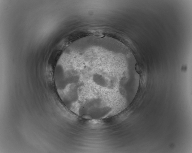 X0000111240477200907161346