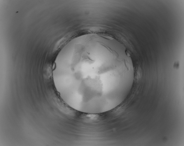 X0000111240478200907161346