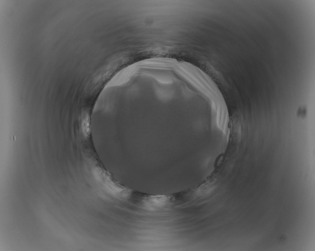 X0000111240479200907161346