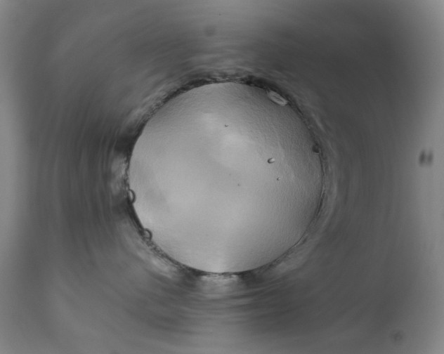 X0000111240480200907161346