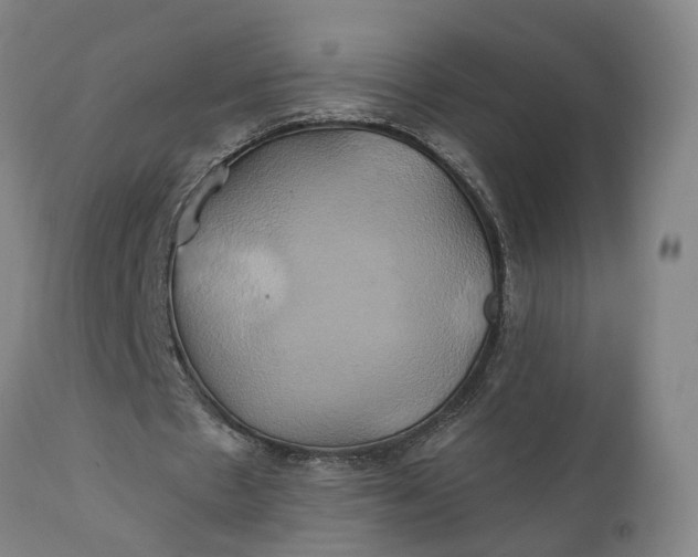 X0000111240481200907161345