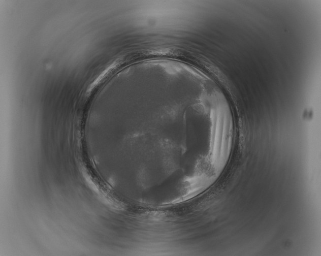 X0000111240482200907161345