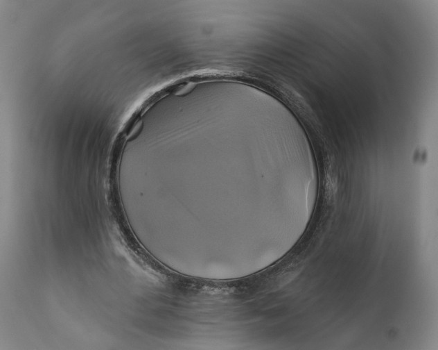 X0000111240484200907161345