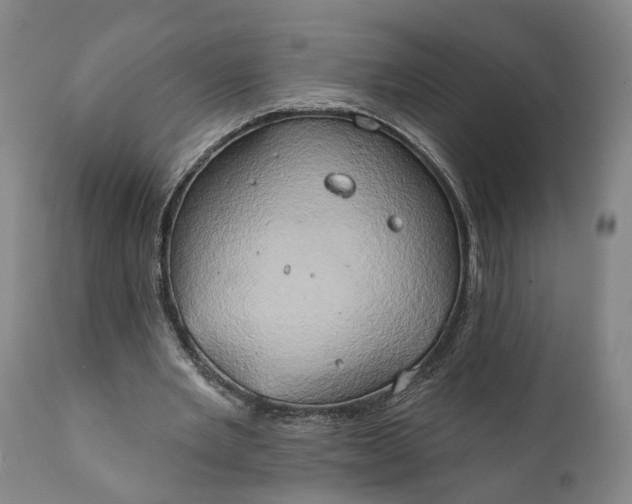 X0000111240485200907161345