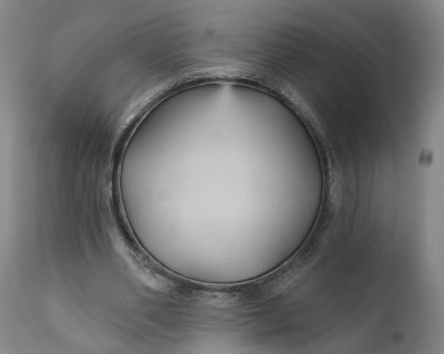 X0000111240486200907161345