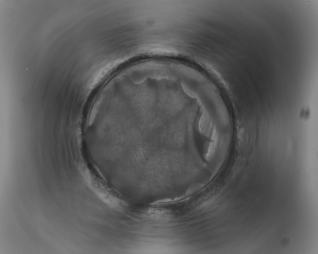 X0000111240487200907161345