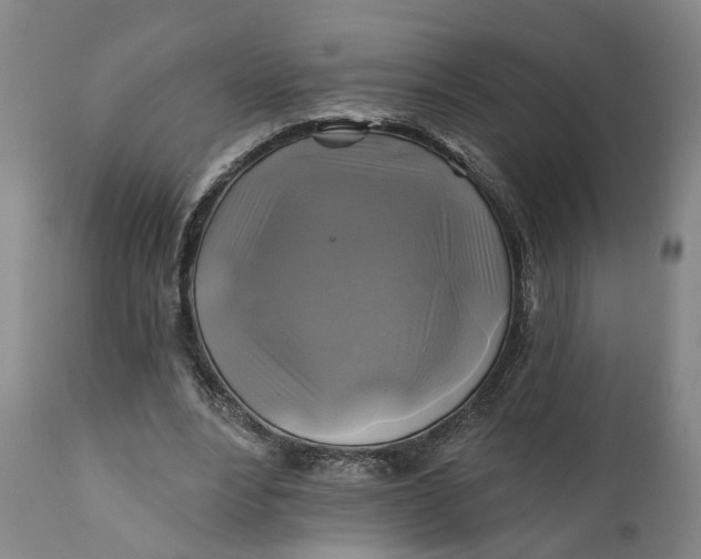 X0000111240488200907161345