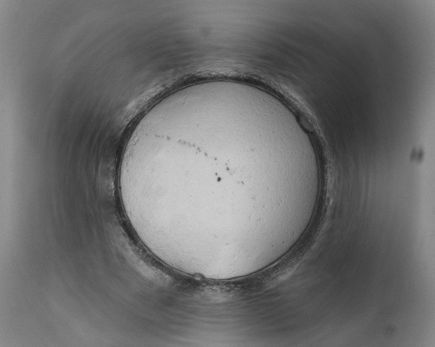 X0000111240489200907161345