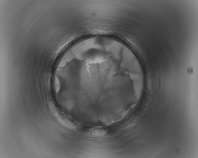 X0000111240491200907161345