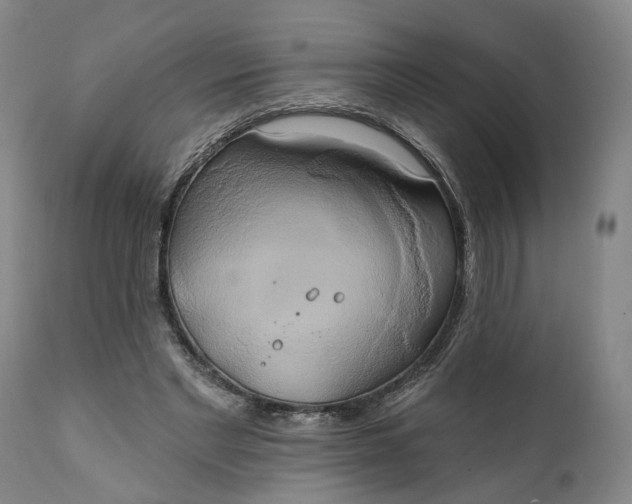 X0000111240493200907161345