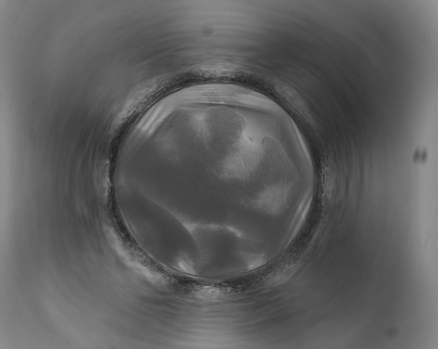 X0000111240494200907161345