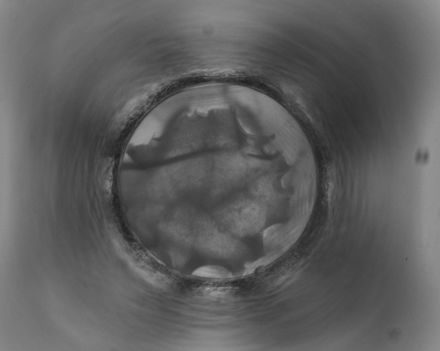 X0000111240495200907161345