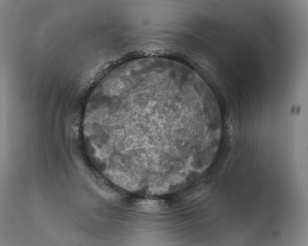 X0000111240499200907161345