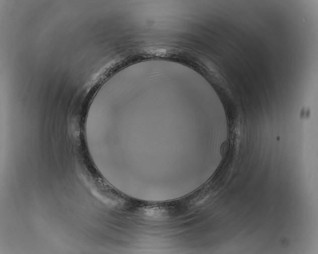 X0000111240500200907161345