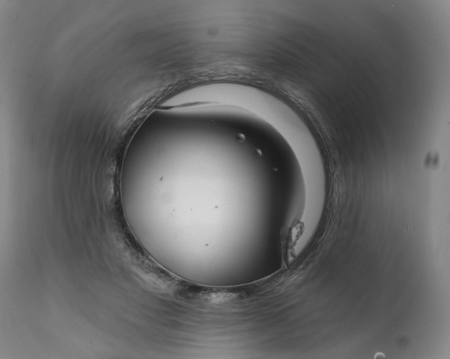 X0000111240501200907161345