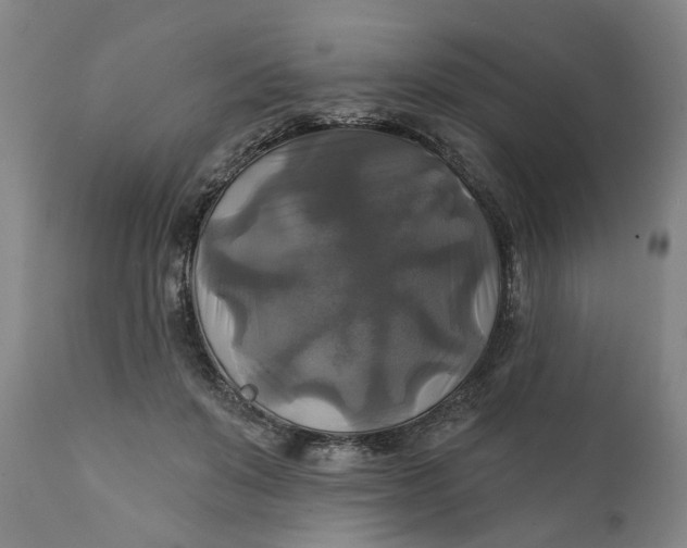 X0000111240503200907161345