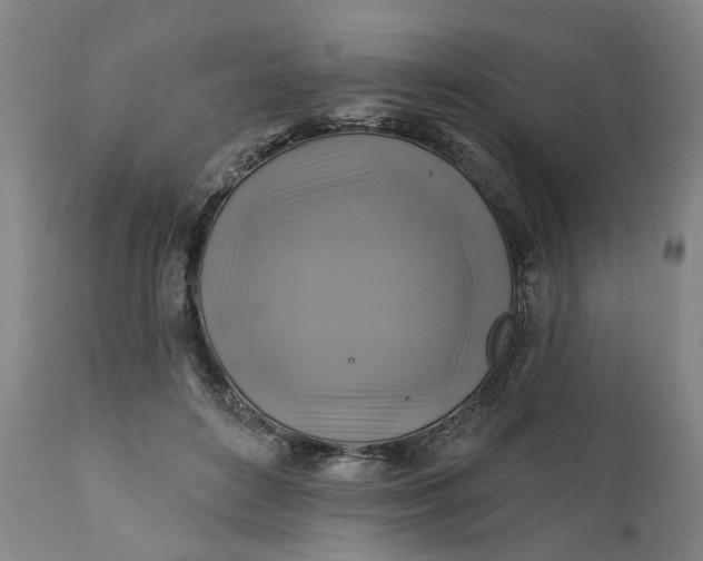 X0000111240504200907161345