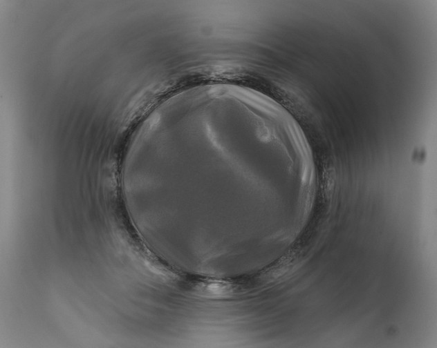 X0000111240506200907161345