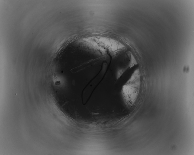 X0000111240509200907161345