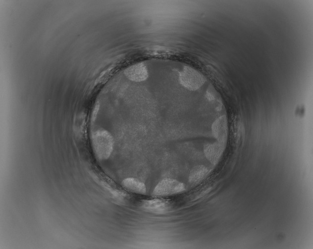 X0000111240511200907161345