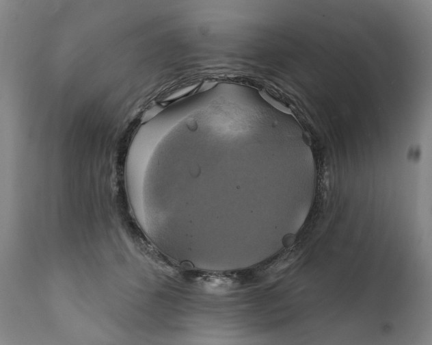 X0000111240512200907161345