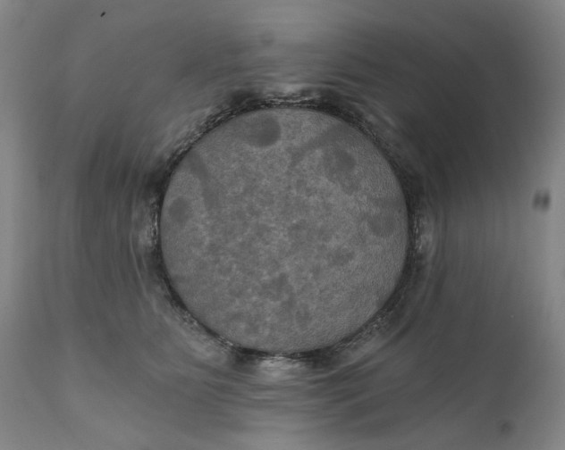 X0000111240515200907161344