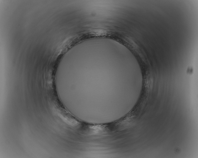 X0000111240516200907161344