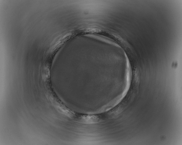 X0000111240517200907161344