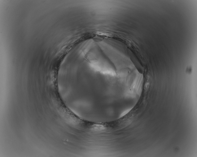 X0000111240519200907161344