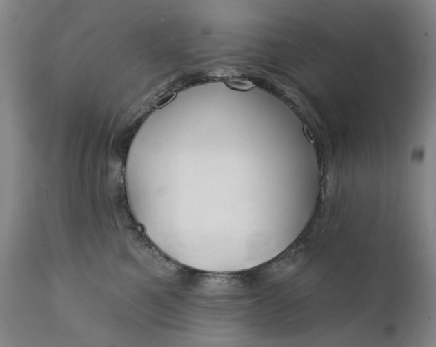 X0000111240521200907161344