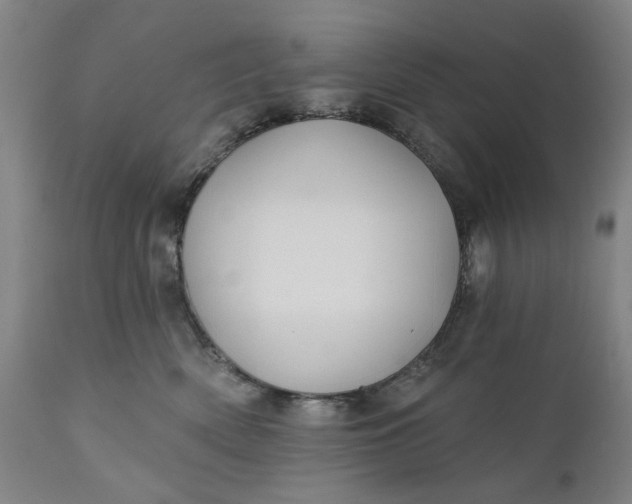 X0000111240522200907161344