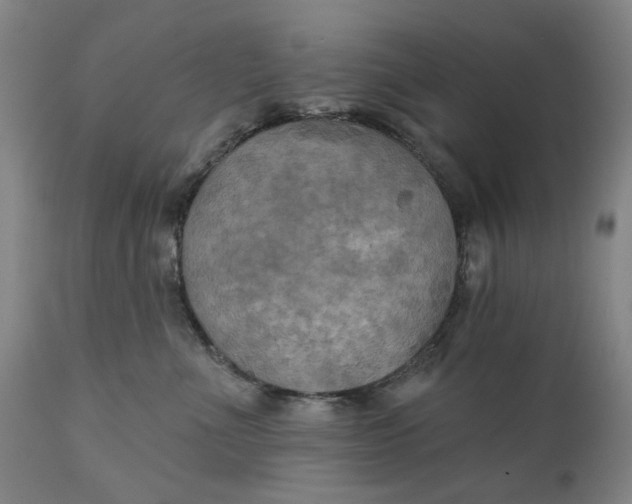 X0000111240523200907161344