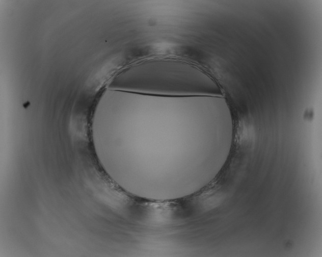 X0000111240524200907161344