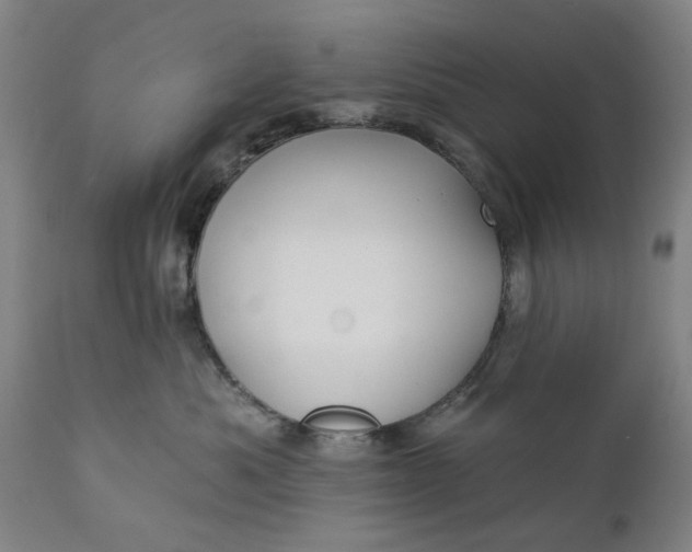 X0000111240525200907161344