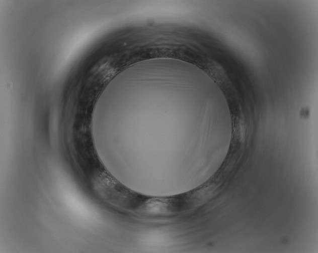 X0000111240526200907161344