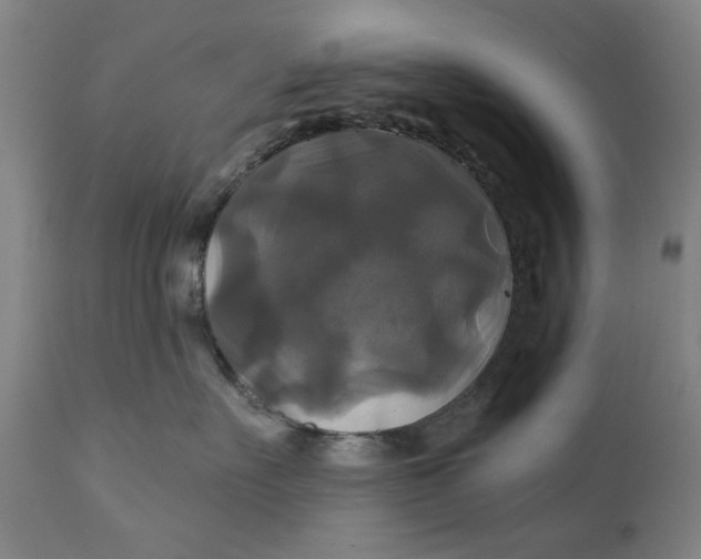 X0000111240527200907161344