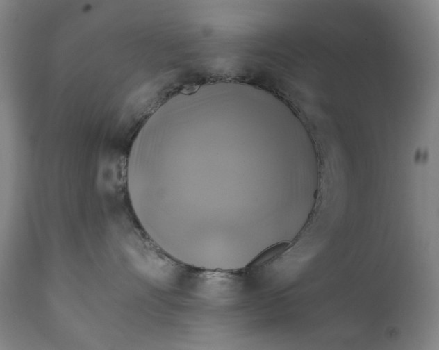 X0000111240528200907161344