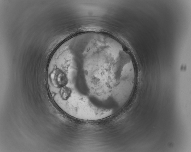 X0000111240529200907161344