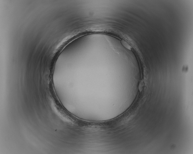 X0000111240530200907161344